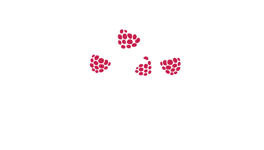 Vitberry
